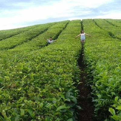 tsel_siantar1's profile picture. Best wife & momy