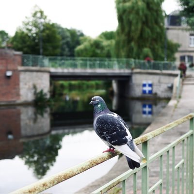 cocopunch68's profile picture. 