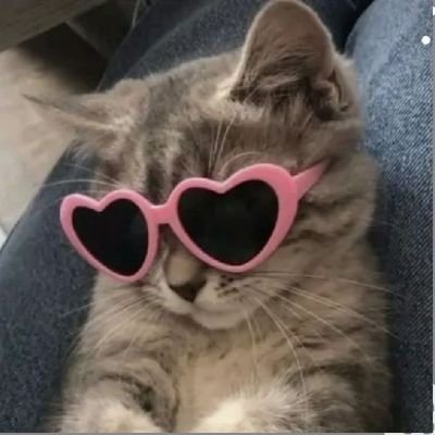 NotInsecureme's profile picture. learning to code