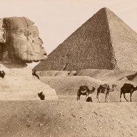 History Books (@historyboooks) 's Twitter Profile Photo History Books (@historyboooks) 's Twitter Profile Photo