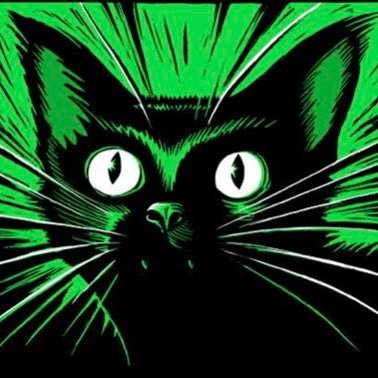 ACORN union member. Ex healthcare worker. Autistic. Antifascist. Intersectional Class Solidarity. All Cats Are Beautiful. Wildcat_SabboTabby on twitch. They/she