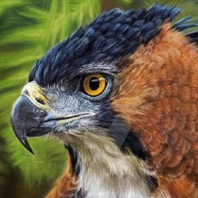 DrAlexKorir1's profile picture. always upright and bright