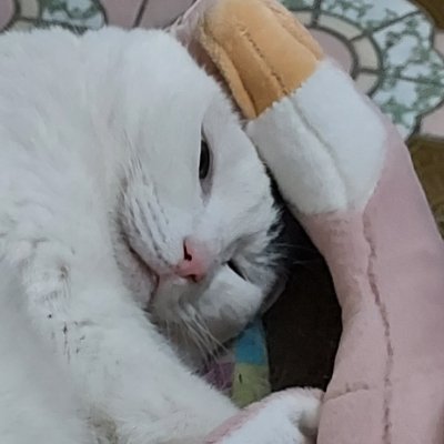 🥤🥤🥤さんのプロフィール画像