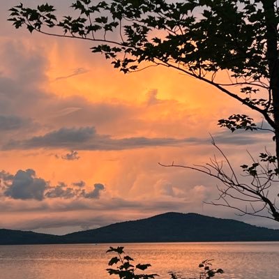 pcb0310's profile picture. Aew|Islanders|Yankees|Giants