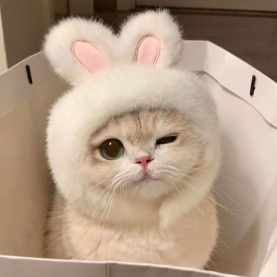 思い出の中に溺れる前に