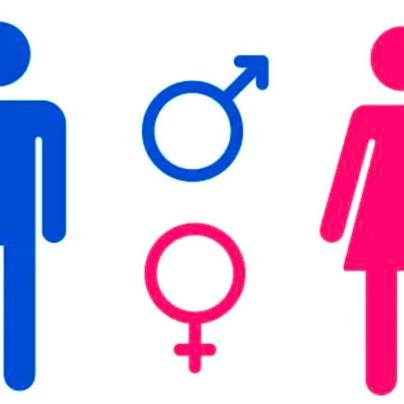 _Maxi_91's profile picture. Yes Wokies, you are all wrong. Arbeitsbiene für die Asylindustrie, hier privat.