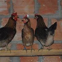 BerryLuke25449's profile picture. I'm a problem solver in the sky. #Airlines #AirlineIndustry #AirportOperations