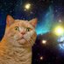 Space Cat (@CaSpacet) Twitter profile photo