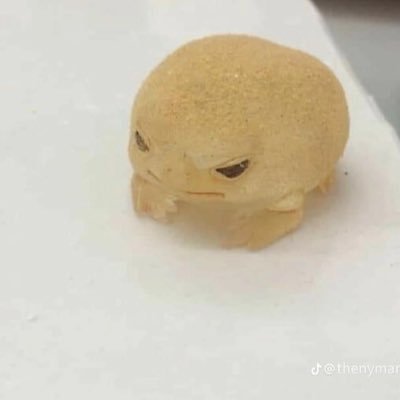 XainVlr's profile picture. Valorant NoobPlayer