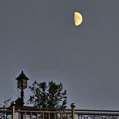 E_Lunar_'s profile picture. 일상계/N잡/재테크/운동/ selfcare/여성/ 미국주식 / cute  🌊