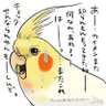 POOL4121's profile picture. ももクロちゃん、C&Kが大好きです！

頻繁にプーちゃん(オカメインコ)の写真や動画をアップします。💙