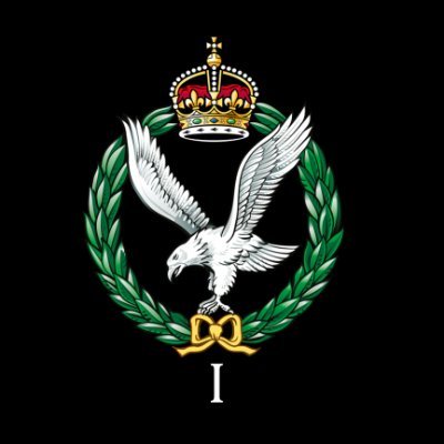 The official account for 1 Regiment Army Air Corps🚁
The British Army's Aviation Reconnaissance Regiment 🔍
Based in Somerset📍
Part of 1st Avn Bde💪