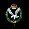1_Regt_AAC's profile picture. The official account for 1 Regiment Army Air Corps🚁
The British Army's Aviation Reconnaissance Regiment 🔍
Based in Somerset📍
Part of 1st Avn Bde💪