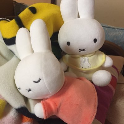 _pink_lilac_'s profile picture. 