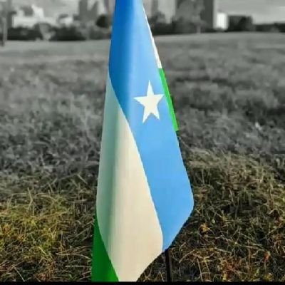 Fiqikhayre's profile picture. 