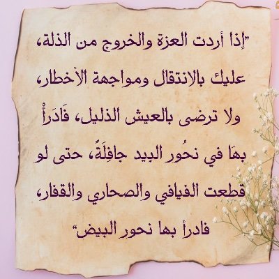 Arabiaaseela8's profile picture. 