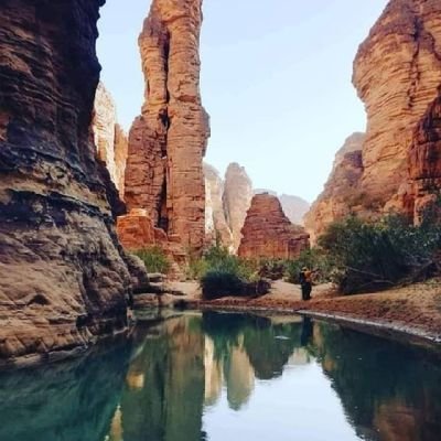 DanPhoko's profile picture. 