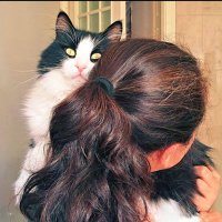 Murphyli Minnoş ve Anaları 🐼 🦝❤️🧑‍🏫 (@orcadedi) 's Twitter Profile Photo