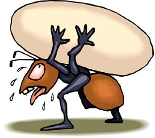 carmenchacon888's profile picture. Decoradora de interiores y amante de todo lo que tiene que ver con el mundo de la decoración. es mi vida