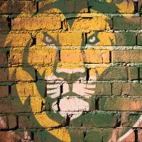 Tony 🦁⚾🥎🎾👟🏖️🏐 (@golion09) 's Twitter Profile Photo Tony 🦁⚾🥎🎾👟🏖️🏐 (@golion09) 's Twitter Profile Photo