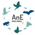 Dept. of Animal Ecology (@AnimalEcol_NIOO) Twitter profile photo