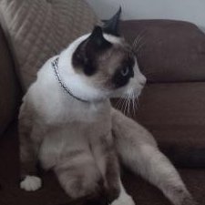 léaさんのプロフィール画像