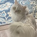 Stephanie Slagle - @Stephaniesings_ - Twitter