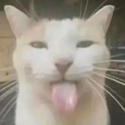 elocinder's profile picture. no nada