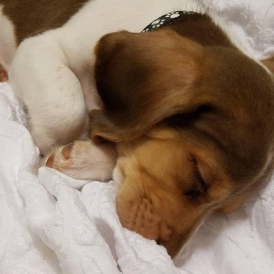 HondoGot8's profile picture. 