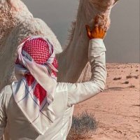 بن فضل (@bennfadel) 's Twitter Profile