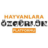 HAYVANLARA ÖZGÜRLÜK PLATFORMU(@Pawwarriors34) 's Twitter Profile Photo