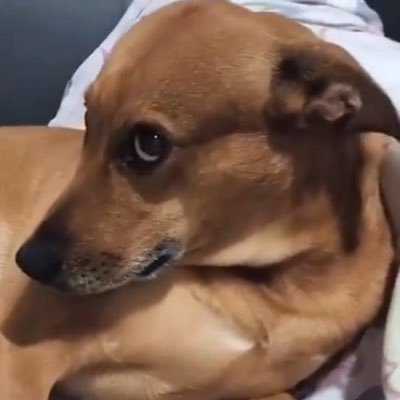 mswelantosif's profile picture. I want money not a job | Enterpreneaur | turning ideas into reality