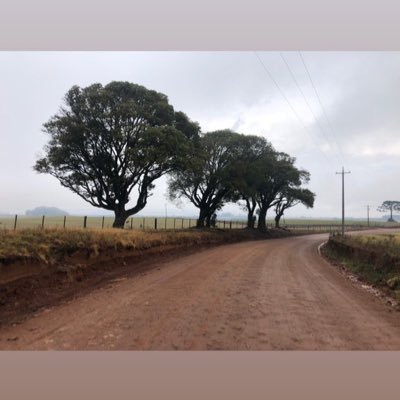 Danielmrosa2016's profile picture. 