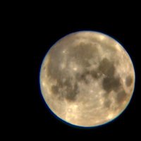 moonshine (@moonshinee03) 's Twitter Profile