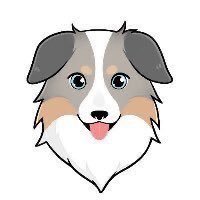 Crypto (@cryptoguy369) 's Twitter Profile