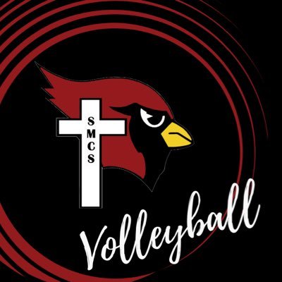 Dell Rapids St Mary Cardinal Volleyball  / Dakota Valley Conference