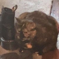 RAD z (@zzz_ow_) 's Twitter Profile Photo RAD z (@zzz_ow_) 's Twitter Profile Photo