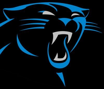 Rz Twitter account for Panthers not affiliated with actual Panthers
