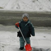 Jasper Xian (@jsprxian) 's Twitter Profile