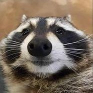 Zer0Zilla's profile picture. 