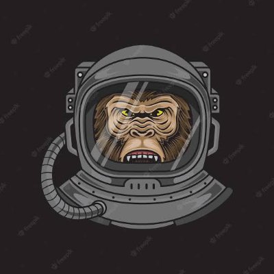 the_sahilgange's profile picture. 