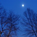 Tami Morrison - @Tamimorrison723 - Twitter