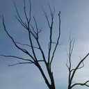 Sean Crook - @CrookSean39590 - Twitter