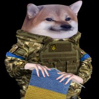Spyderfate_Фелла 🇳🇿 🇺🇦 🏳️🌈 🏳️⚧️ 🇬🇪 (@spyderplan) 's Twitter Profile