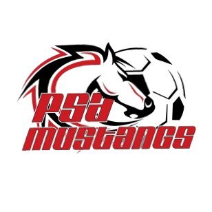 Official account of the Putnam Science Academy Men’s Soccer Team. 
High School, Grades 8th-12th!