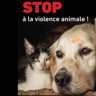 je ne communique pas en MP et je suis contre la maltraitance et l’abandon des animaux Je suis contre l’injustice et J’AIME MA POLICE ET MA GENDARMERIE 🇫🇷🇮🇪