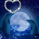 Amy Coyne - @Amy0930 - Twitter