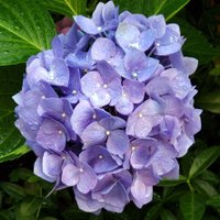 Velcra (@velcra1959) 's Twitter Profile Photo Velcra (@velcra1959) 's Twitter Profile Photo