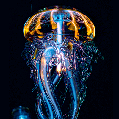 jellyfishstatic Profile Picture