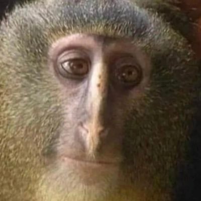 scum_white's profile picture. 